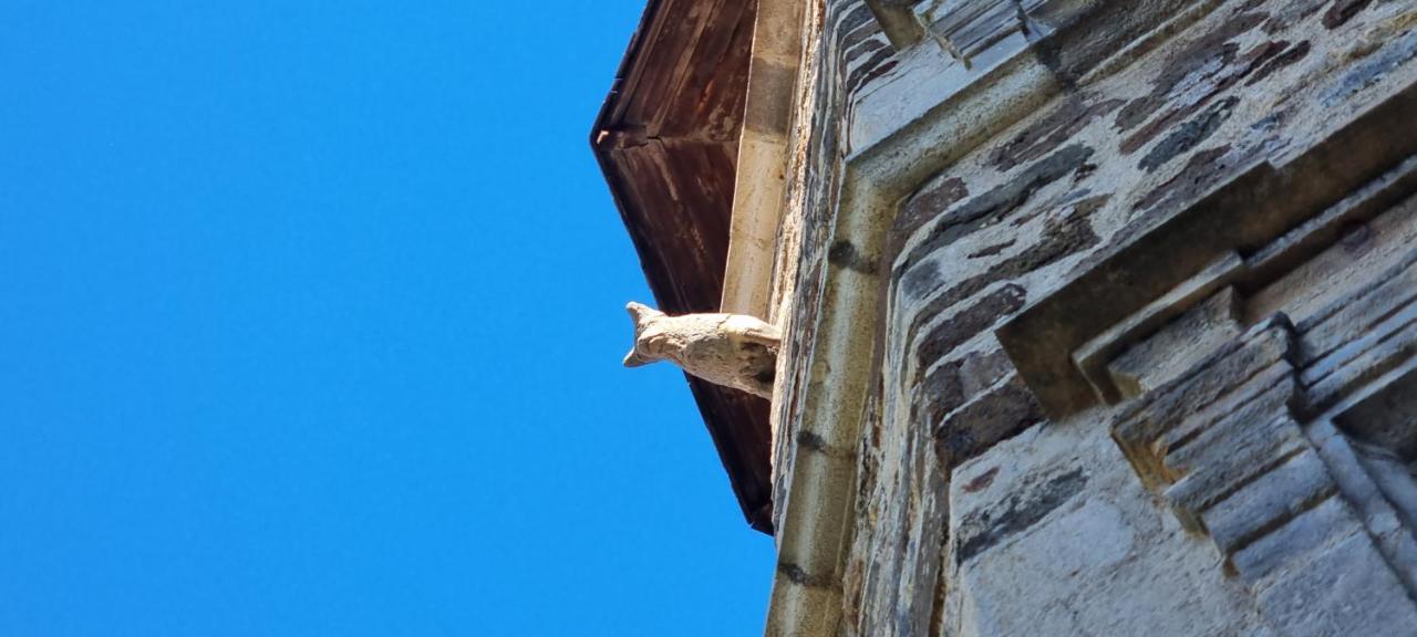 Maison Au Loup - Superbe Ancien Hotel Particulier Du Xvie Siecle Au Coeur De La Vieille Ville Du Puy Le Puy-en-Velay Eksteriør billede